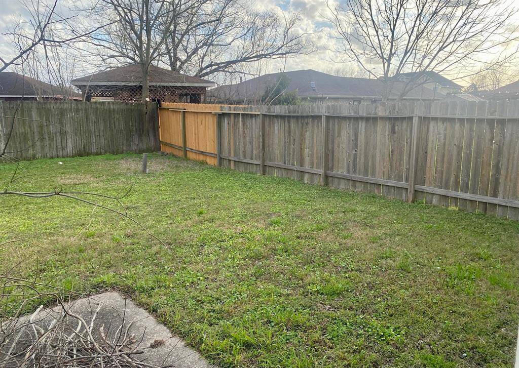 Backyard - fenced