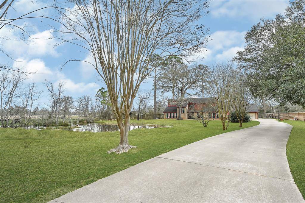 Relaxing Pond in Front Yard