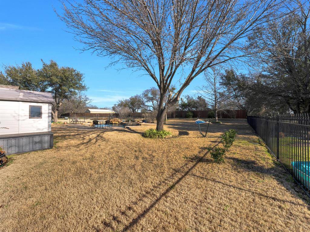 South side of yard