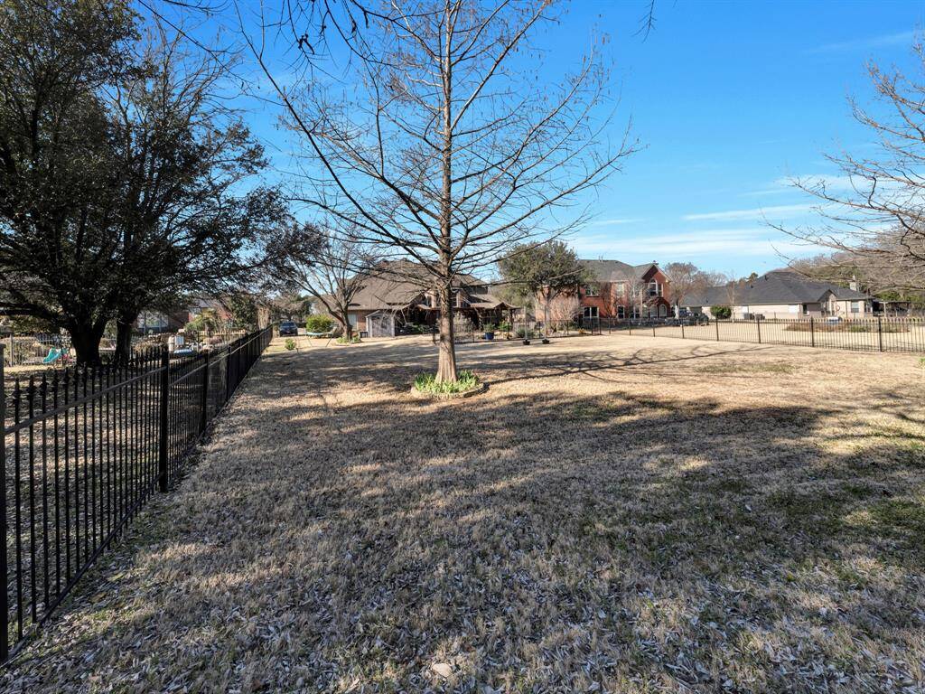 Beautiful grass will soon become vibrant green