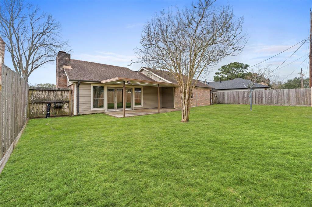 Big backyard