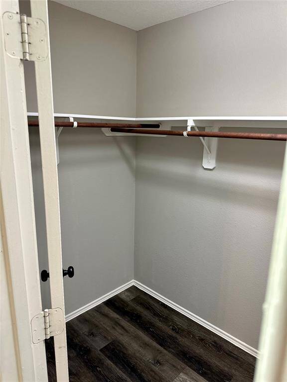 Master Closet 2
