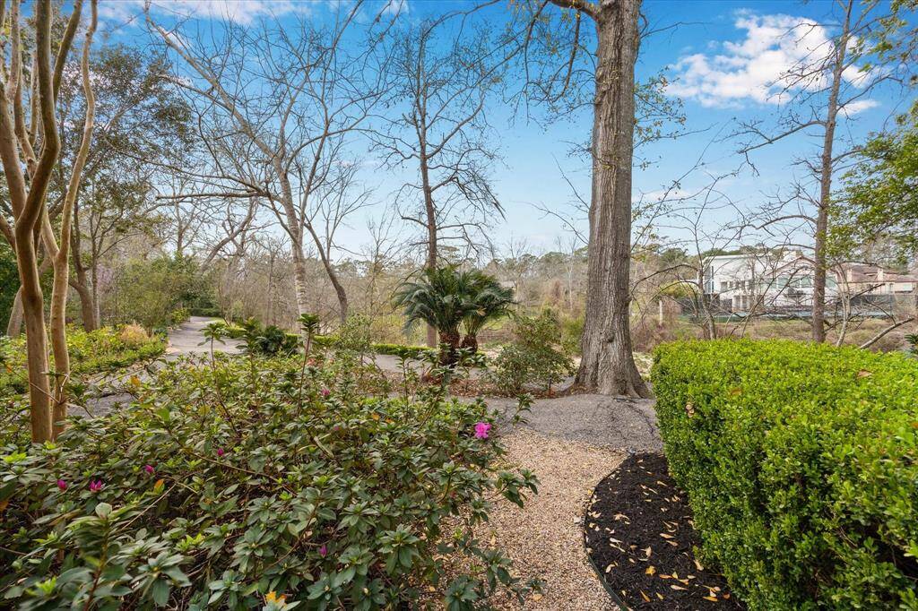 Tranquil backyard overlooking a scenic walking trail and serene bayou.