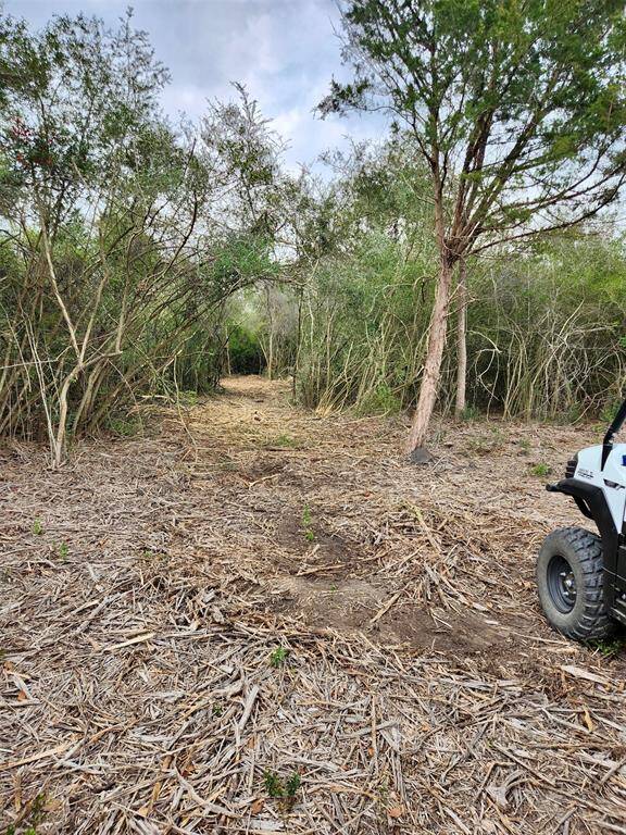 More clearing done ... come out and take a peek