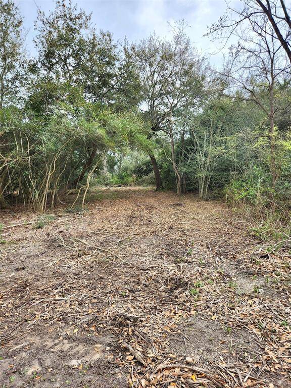 More clearing done ... come out and take a peek