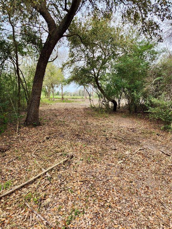 More clearing done ... come out and take a peek