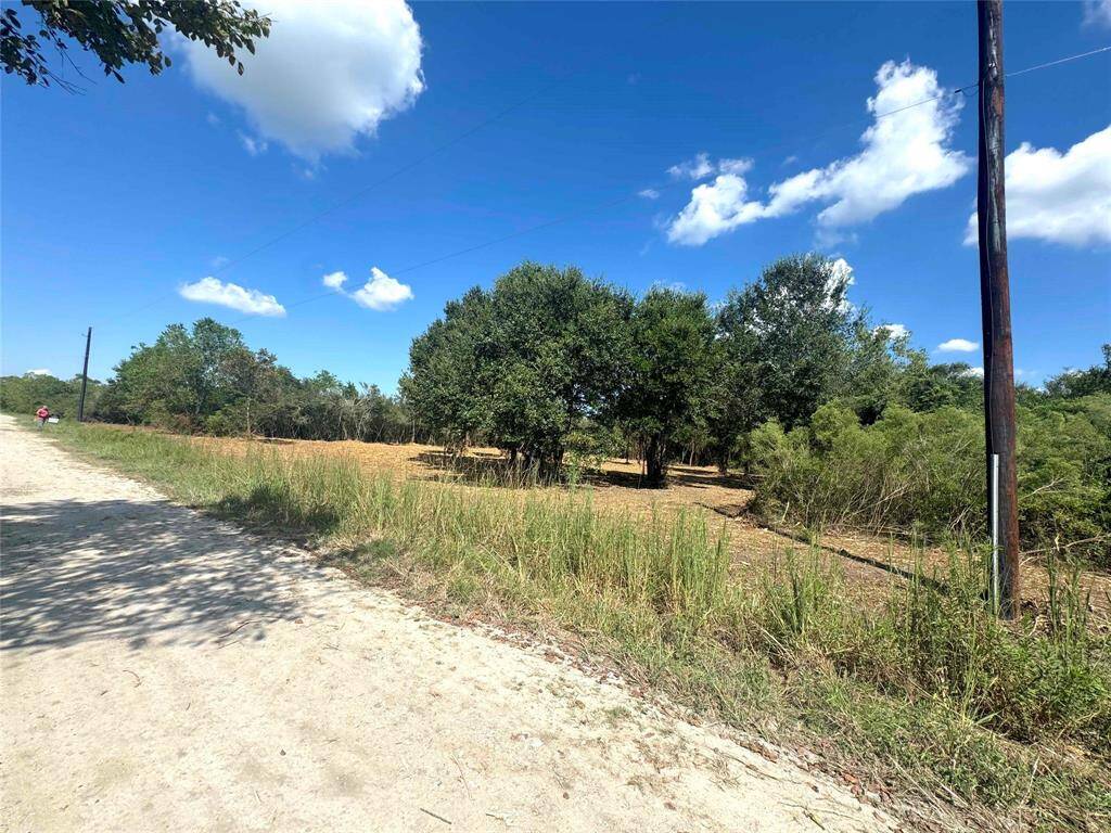 View across the street from your new property