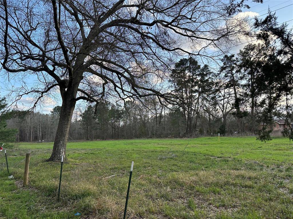 Cleared lot 6