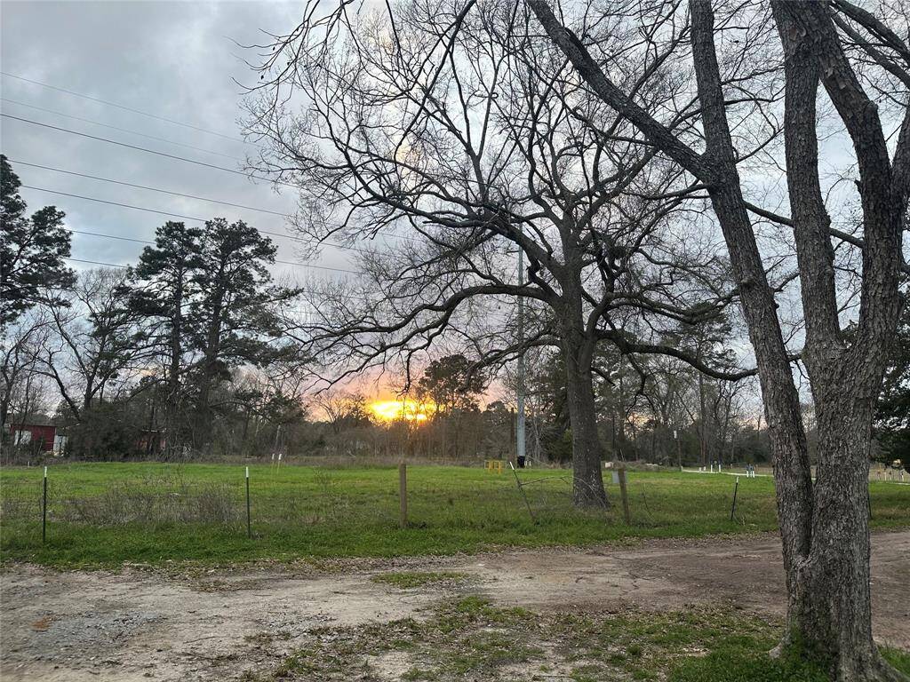 Cleared lot 7