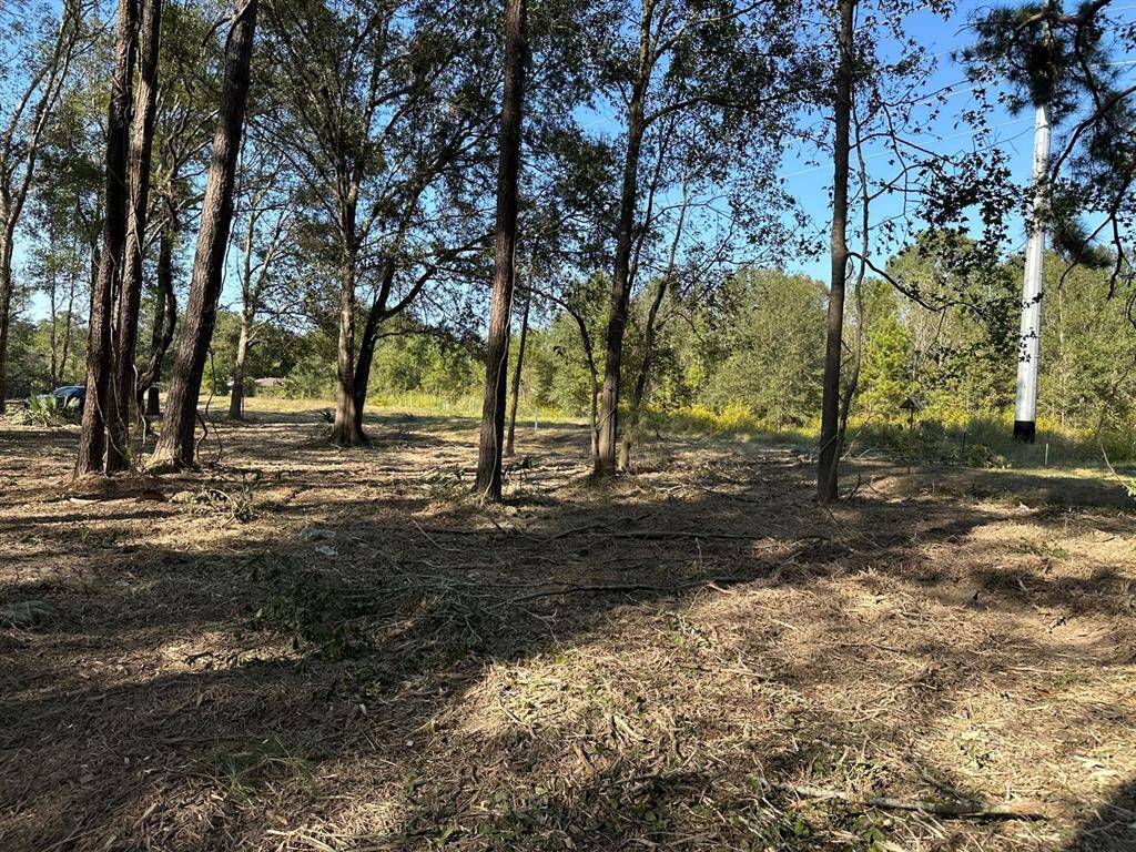 Cleared Lot 1