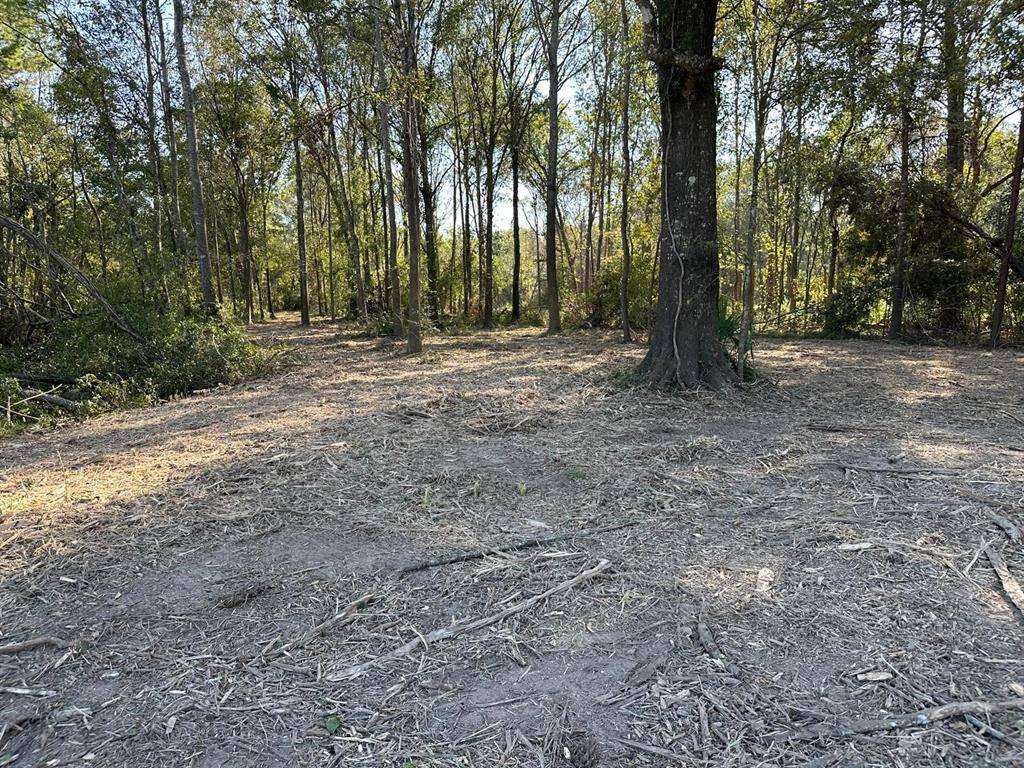 Cleared lot 3