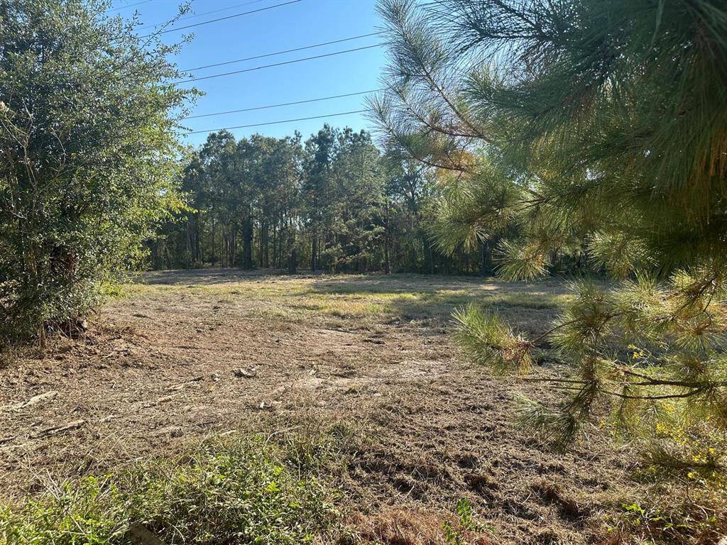 Cleared lot 4