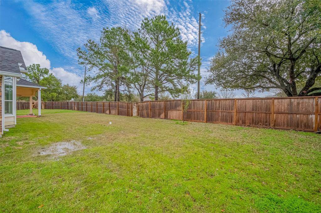 Extra large back yard