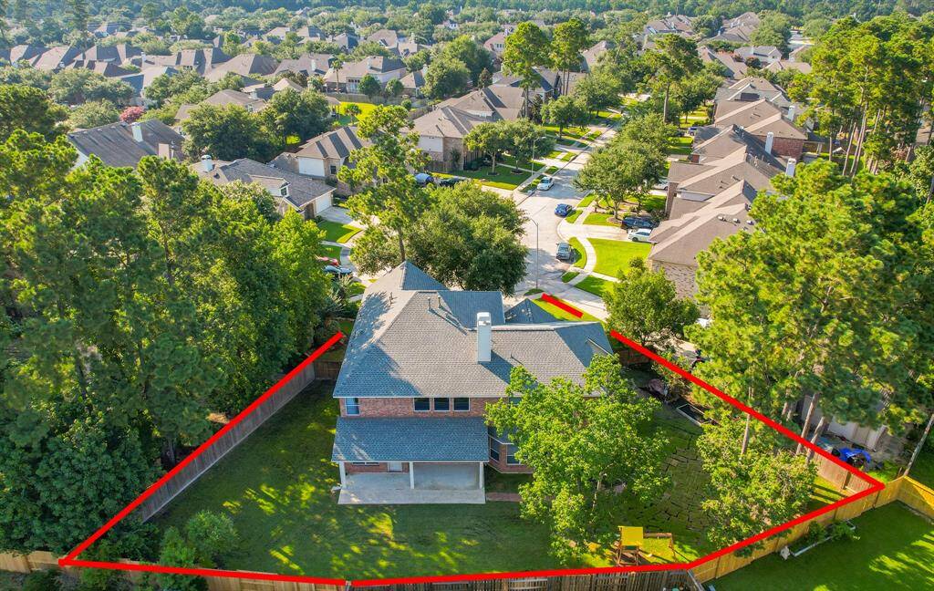 Expansive backyard with lush greenery, perfect for outdoor living and entertainment.