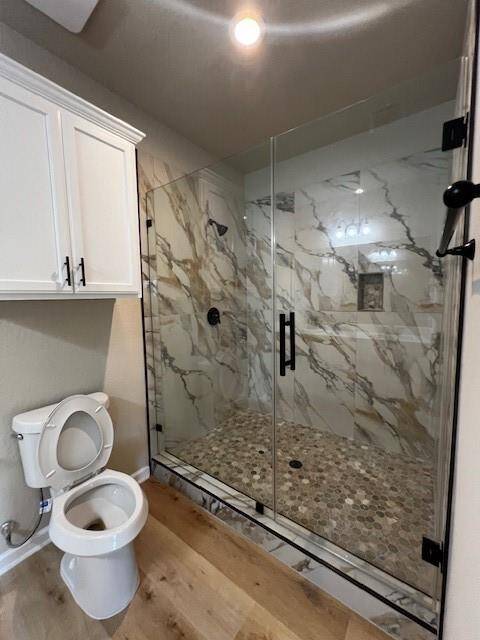 Primary walk-in Shower