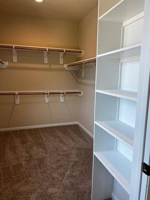 Shelves in primary closet