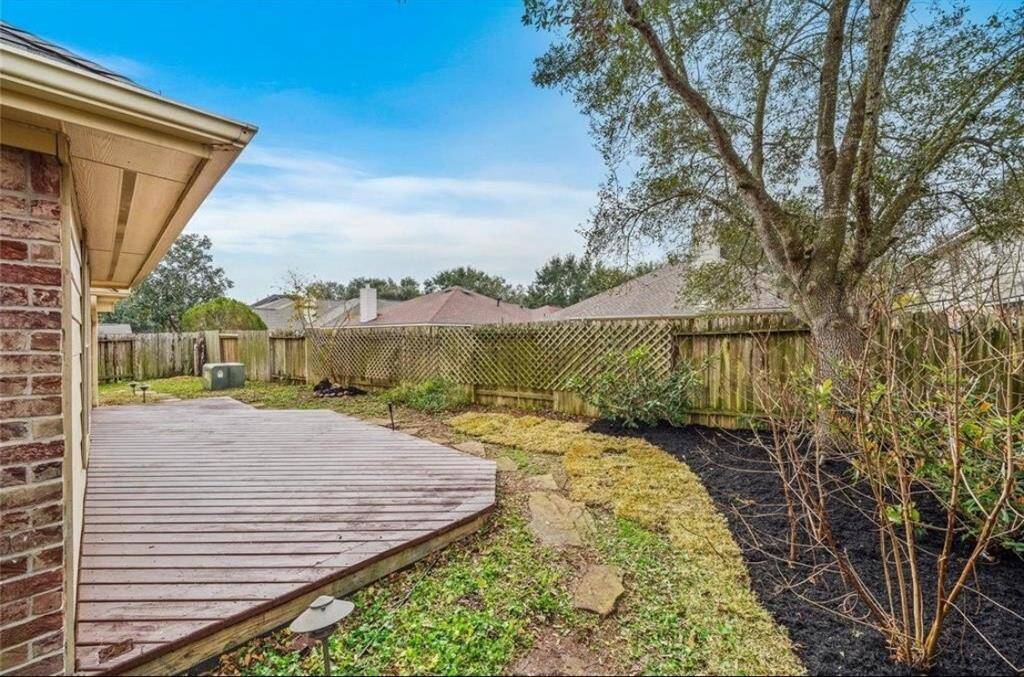 back yard