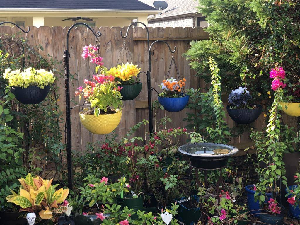 Spring time photos