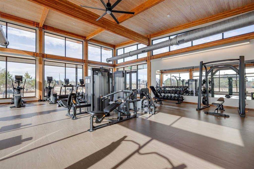 Elyson gym