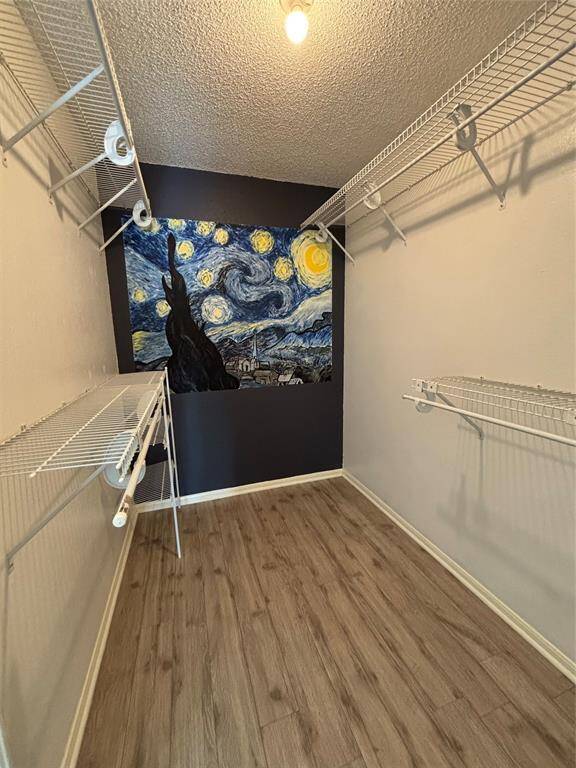 Amazing painting in the huge and walk in closet. It adds to the character of the primary bedrrom.