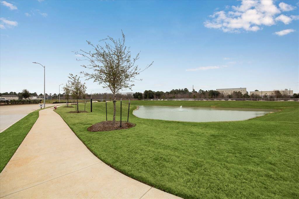 Walking trails