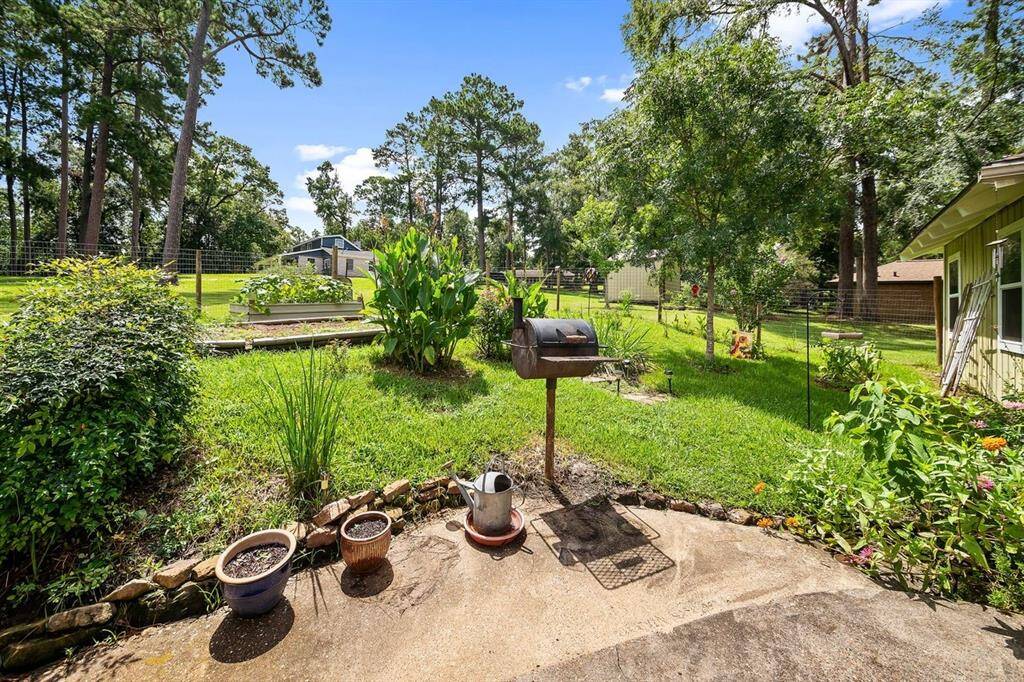 Back yard