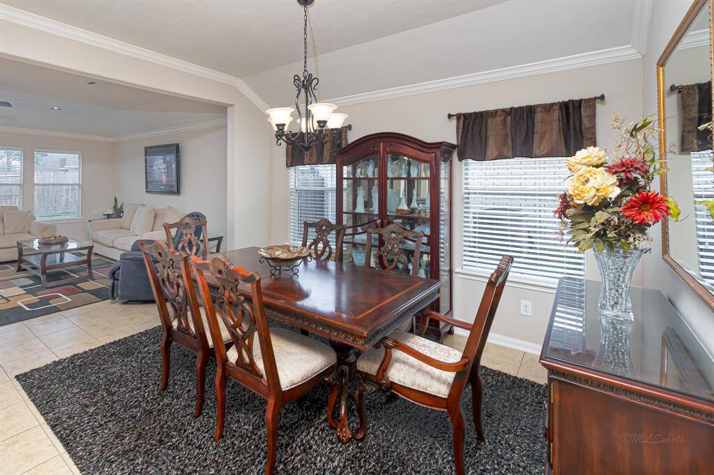 Views to the pool from the entertaining spaces