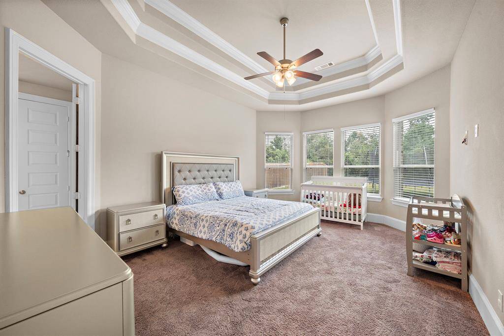 Primary bedroom with tray ceiling