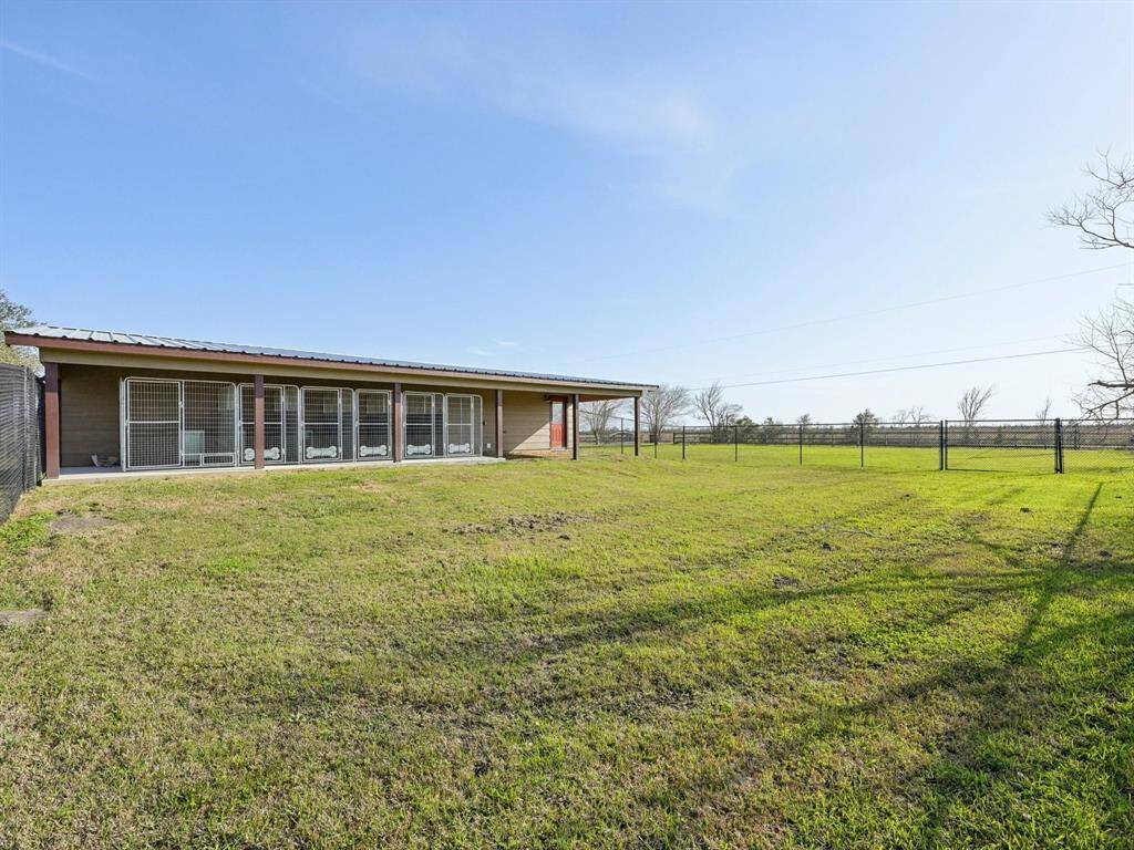 Wow! Take a look at the yard adjacent to the dog care building. The furry friends can roam freely here.
