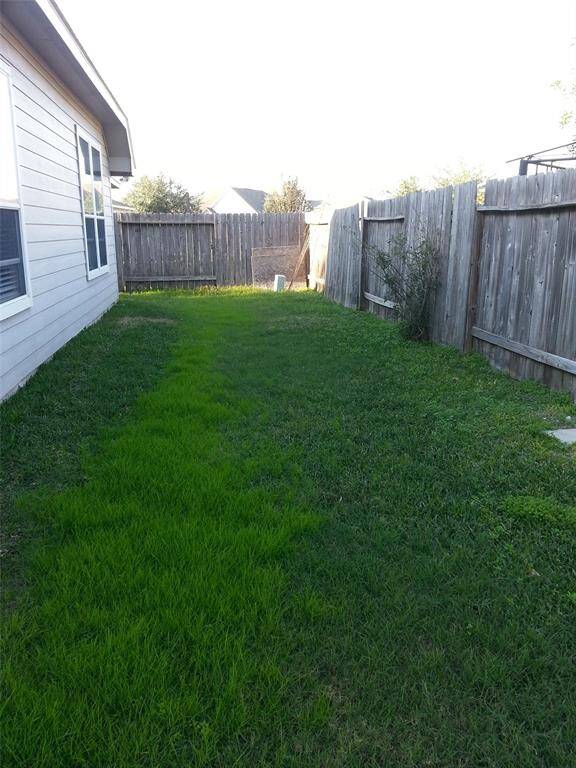 Backyard!