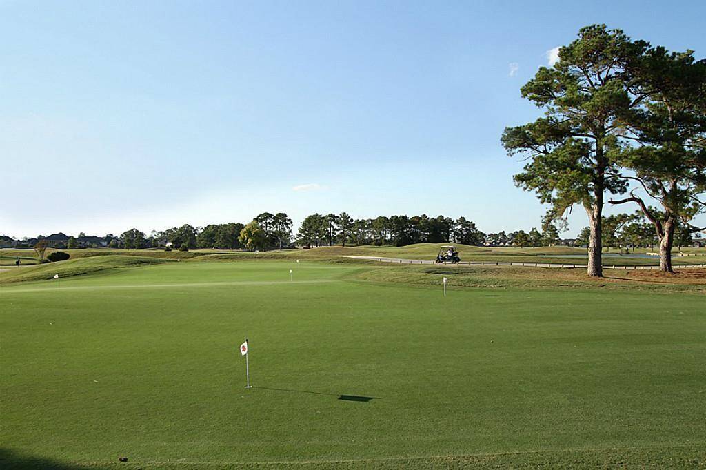 Golf!
