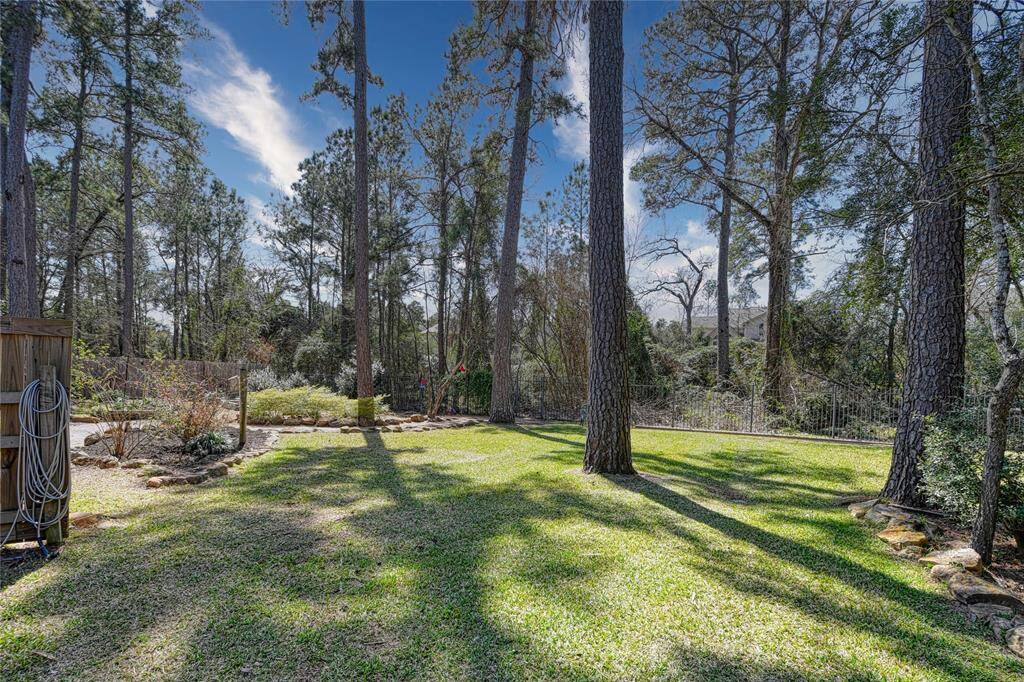Back yard with room for a large family and pets