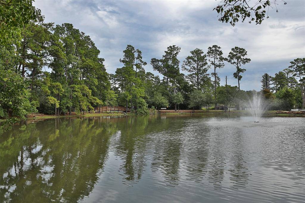 Peaceful neighborhood pond