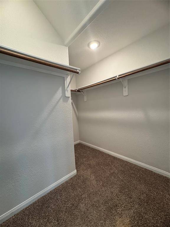 Primary closet