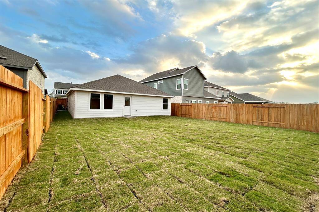 Backyard with fence painted