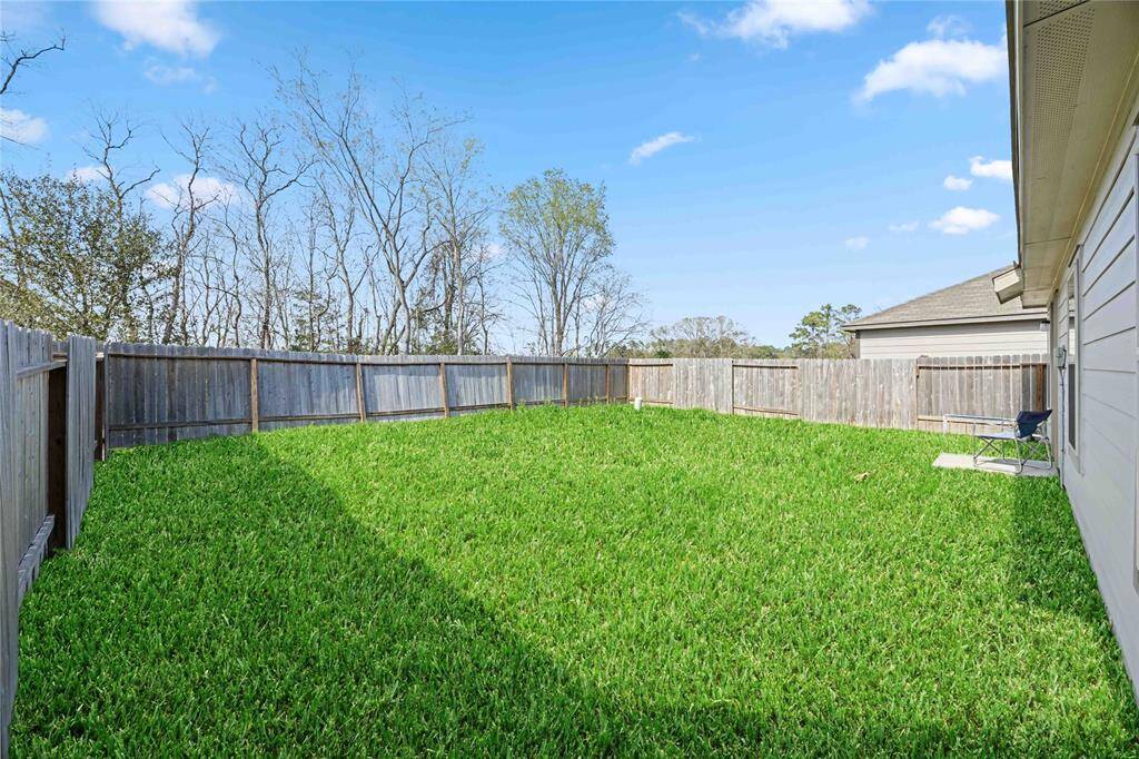 Large Backyard