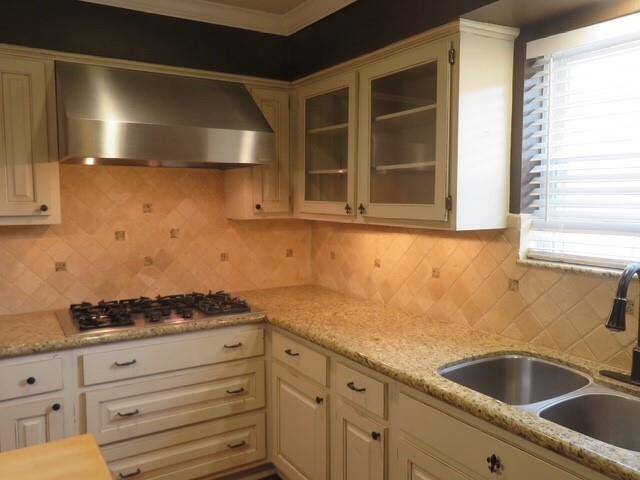 Cooktop and professional style vent hood