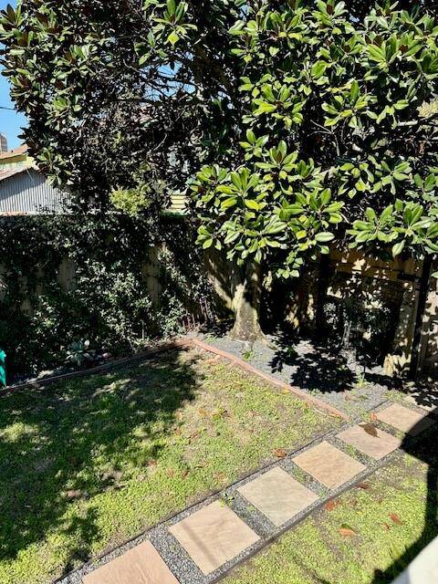 view of the backyard
