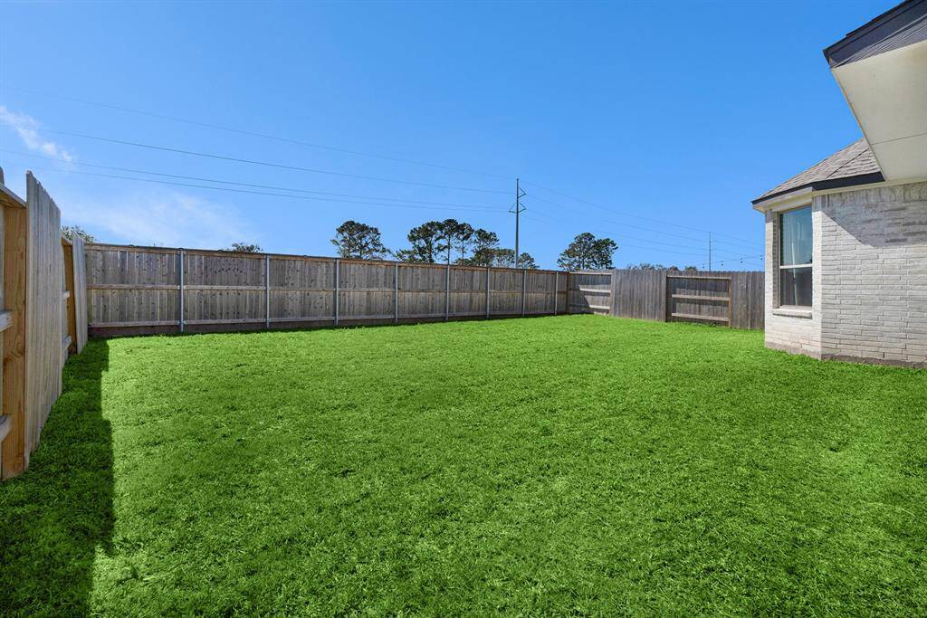 Lush sod backyard.