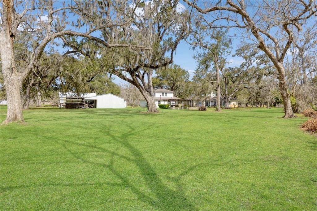 View of backyard