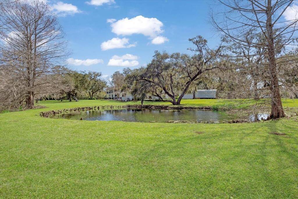 Pond