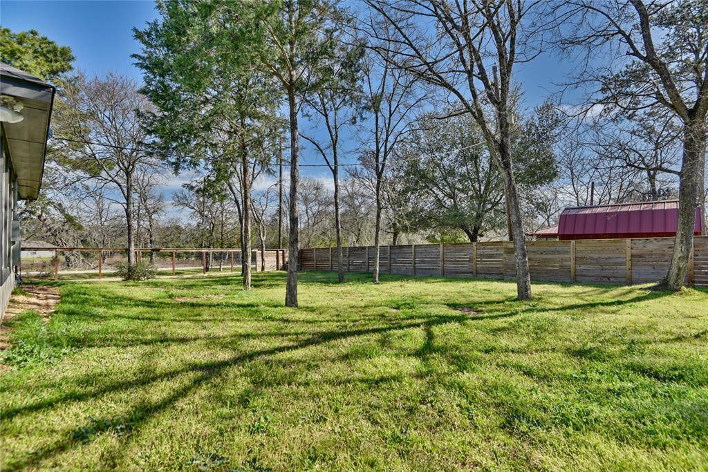 A lot of tree coverage in the backyard!