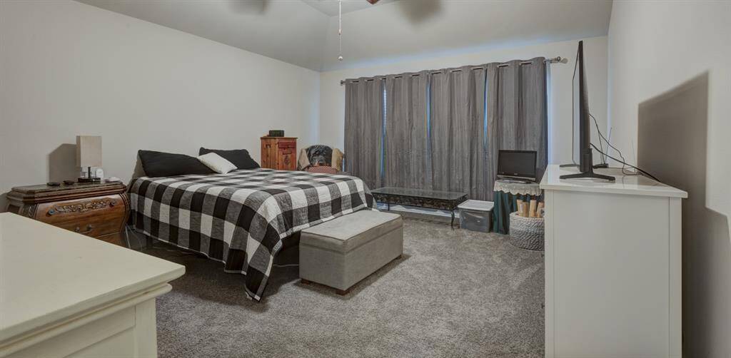Primary bedroom is equipped with plush carpet, ceiling fan, and lots of windows with a view to the back yard.