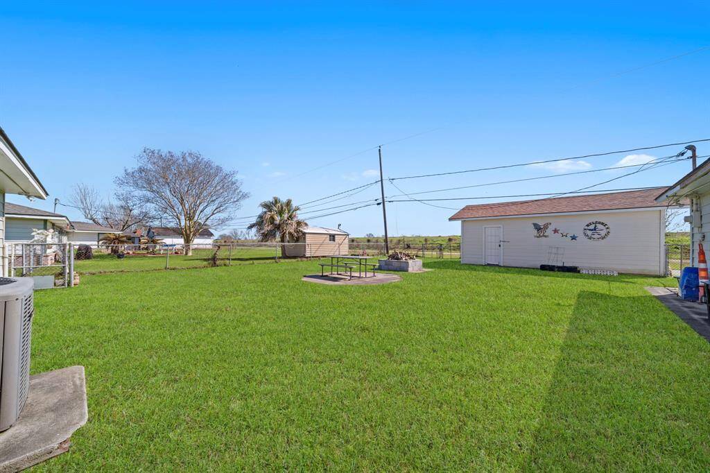 Back yard