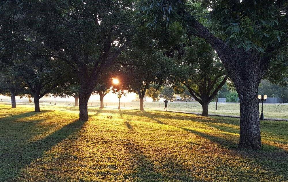 Just a few block away from Terry Hershey Park where you will find miles scenic hike and bike trails. The jewel of the Energy Corridor!