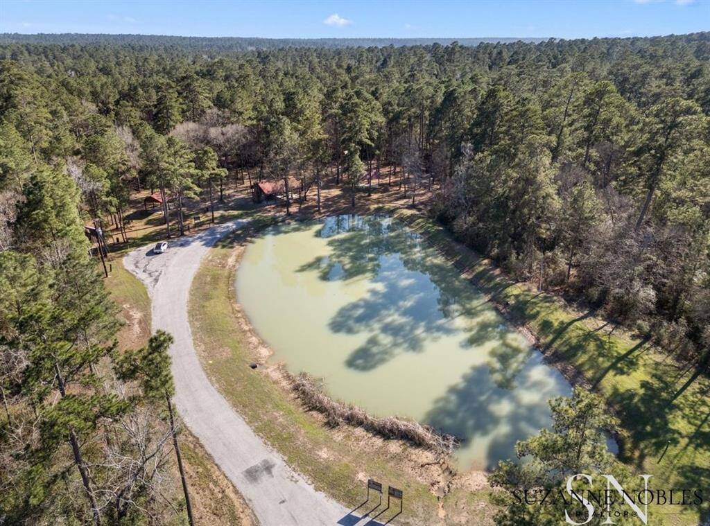An aerial view of the park, showing the beautiful pond.