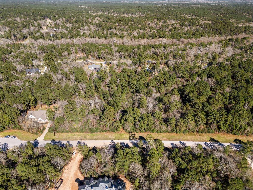 Aerial view showing the mix of mature hardwoods and pines.