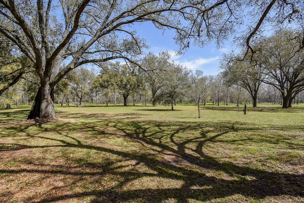 Here are just a few of the breathtaking views this property has to offer, with gorgeous trees that enhance its beauty.