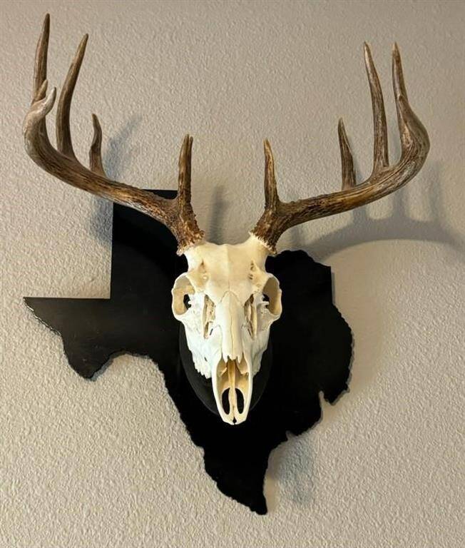 Harvested from property