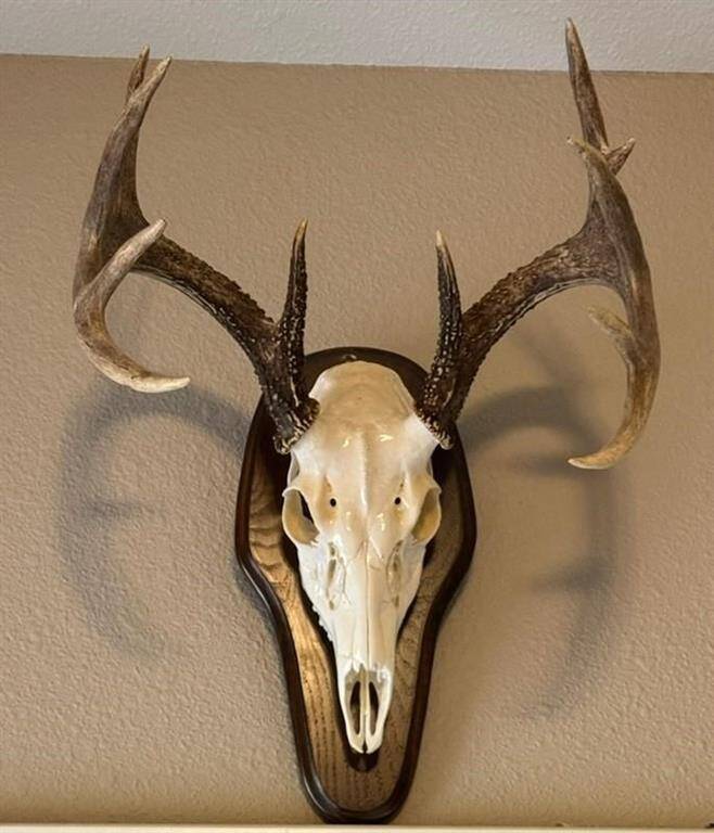 Harvested from property